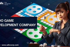 Ludo Game Development